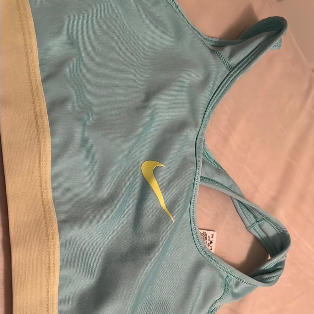 Nike Dri-FIT Light Blue Sports Bra
